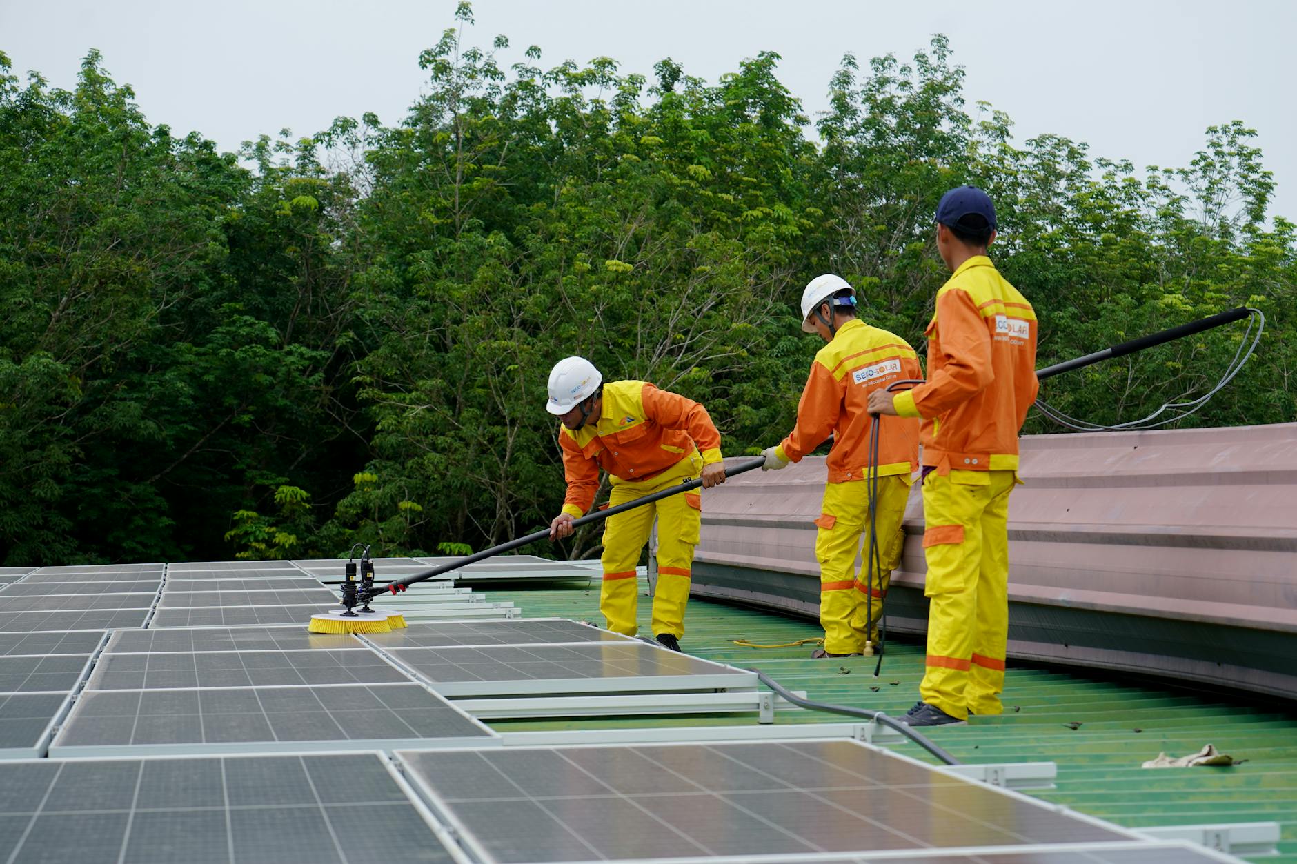 Curățarea panourilor fotovoltaice — când și cum o faci corect